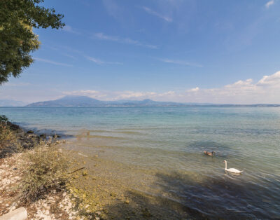 immagine della proprietà